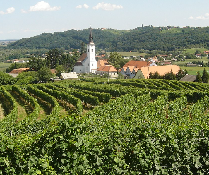 Obcina Zavrc