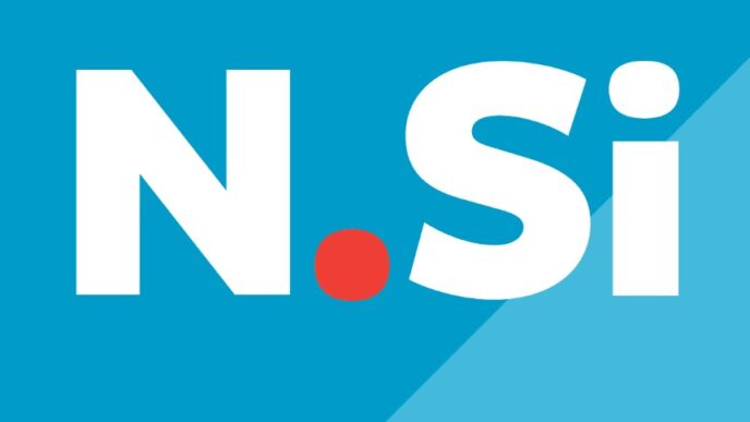 nsi logo