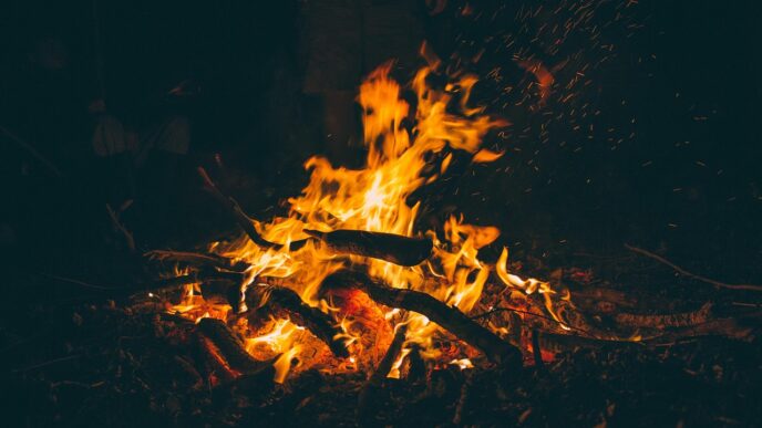 bonfire 1