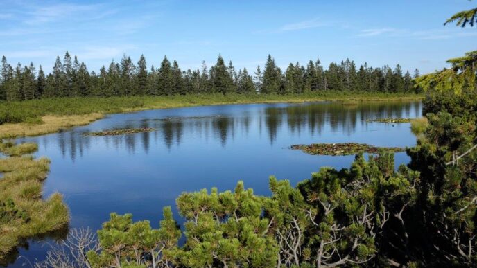 Regijski park Pohorje