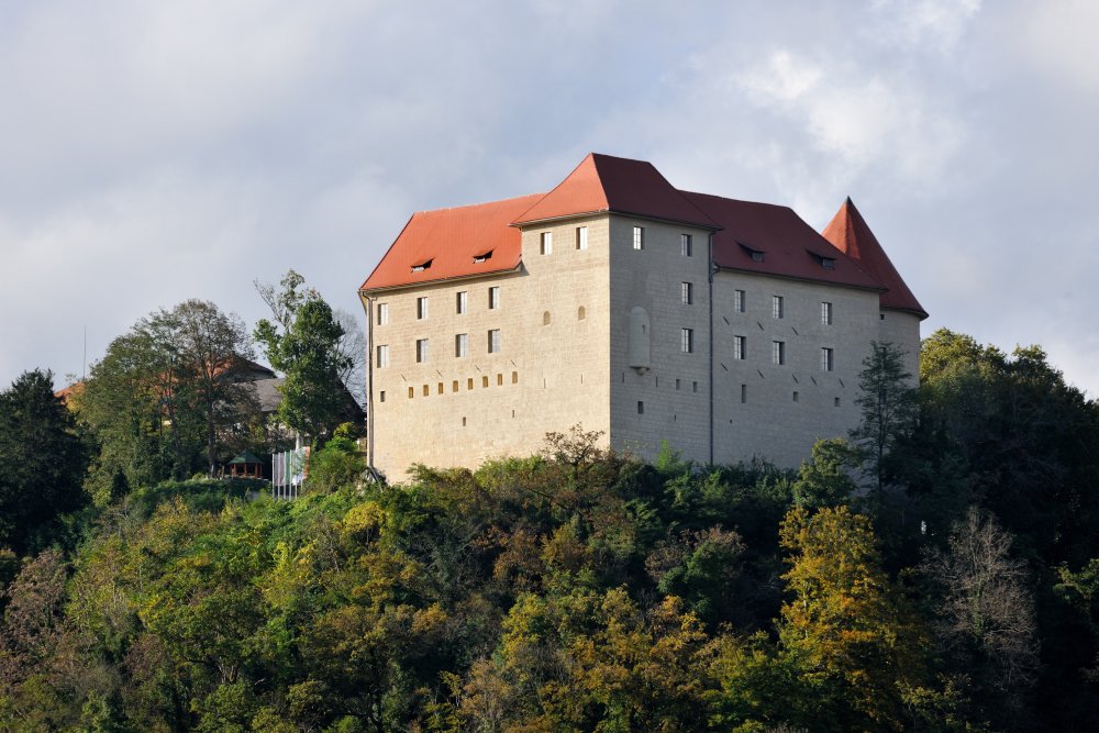 Grad Rajhenburg vir Izletko Miran Kambic