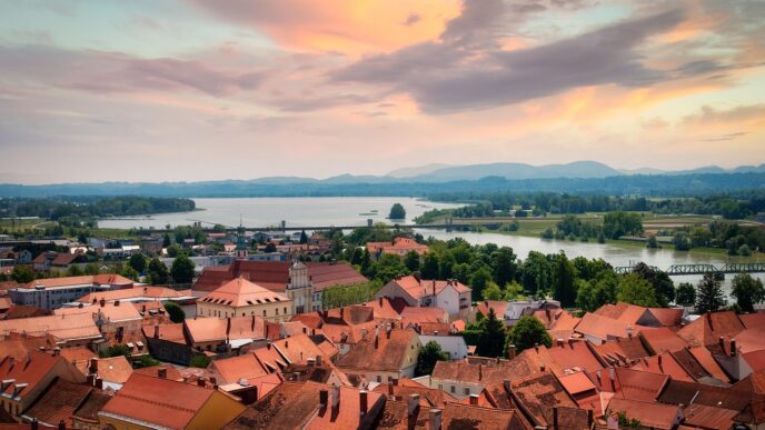ptuj petovia