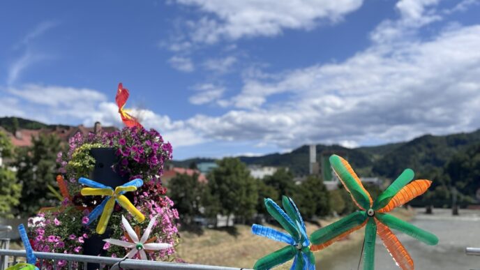 Lasko pivo in cvetje