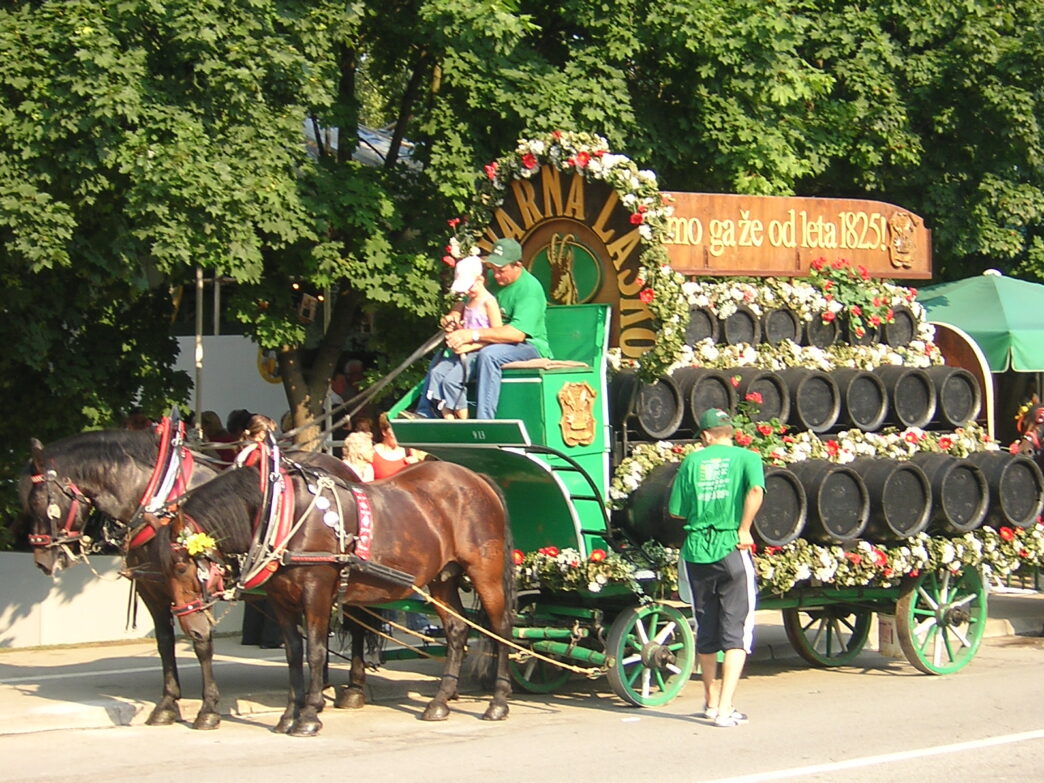Pivo in cvetje