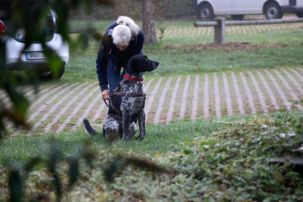 human with dog