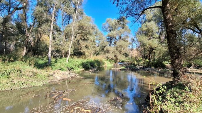 Stanje po obnovitvenih delih na rokavu Mota