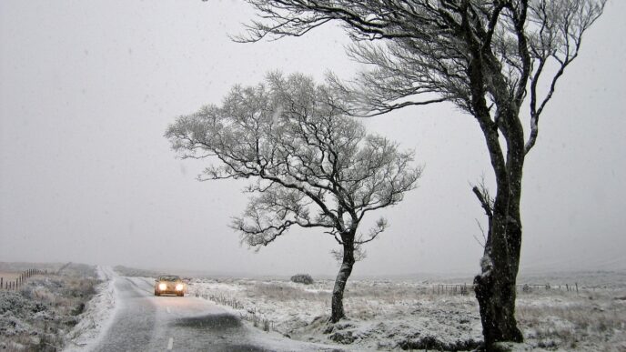 snowing 1