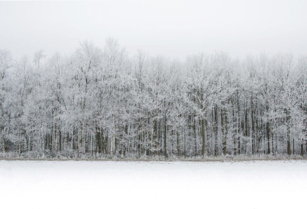 snowing