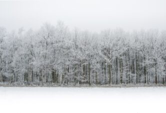 snowing