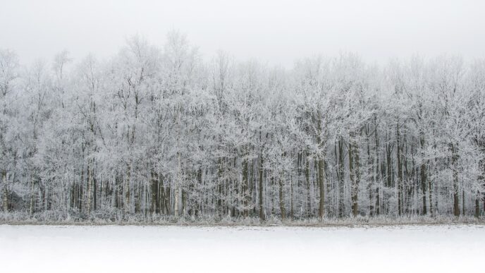 snowing