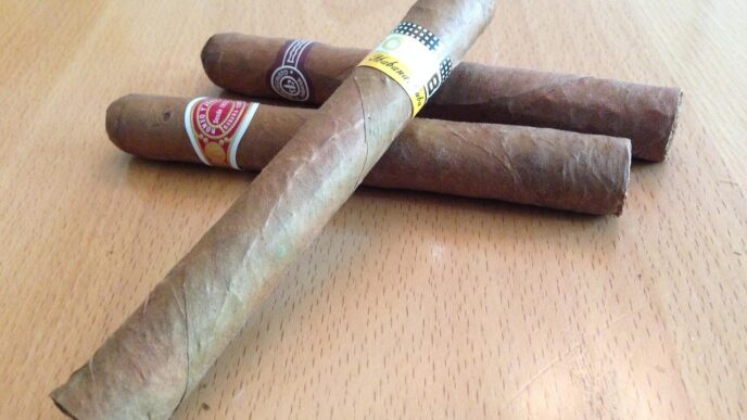 cuban cigar