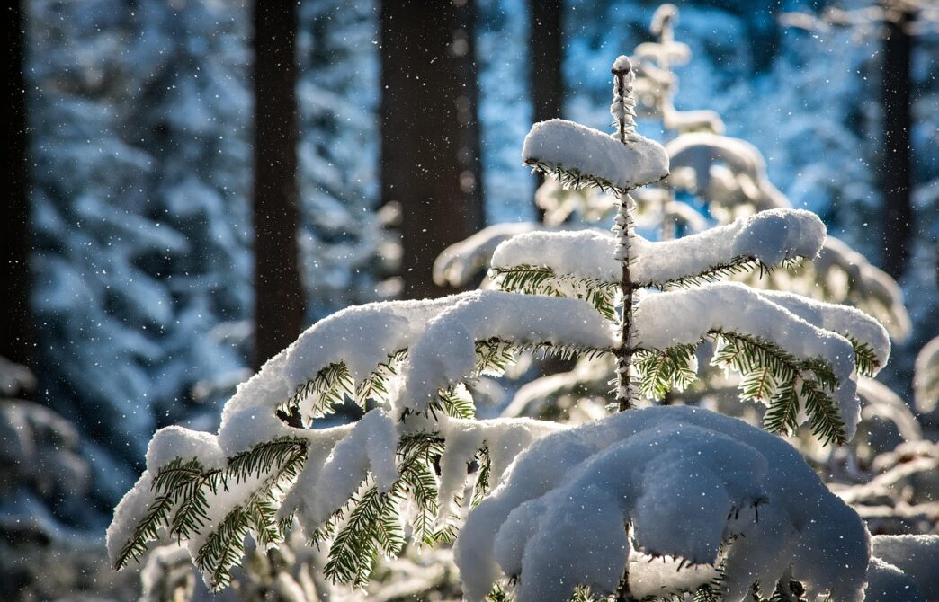 snow