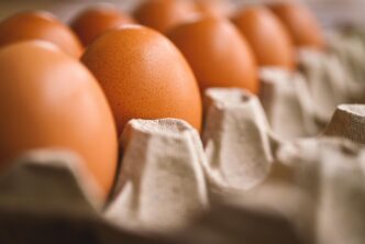 chichen egg