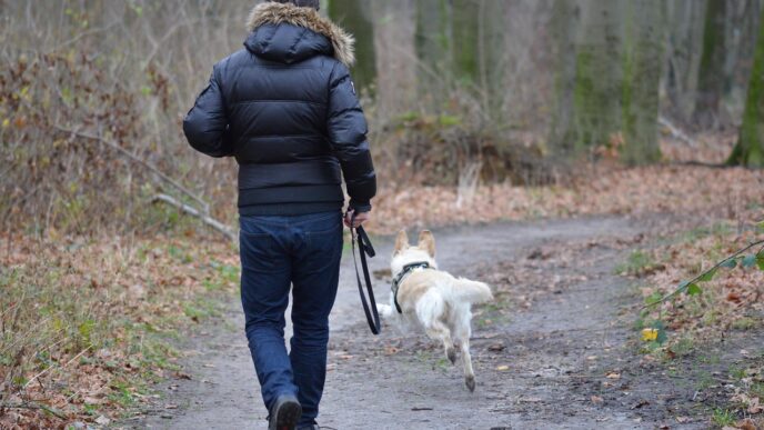 dog and human