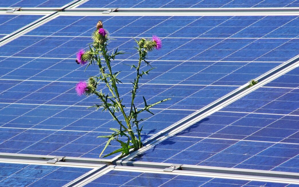 solar power plant