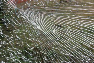 martaposemuckel glass pane 446857 1920