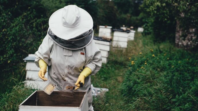 bee and hunny