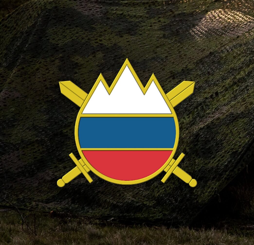 Slovenska vojska stran fb